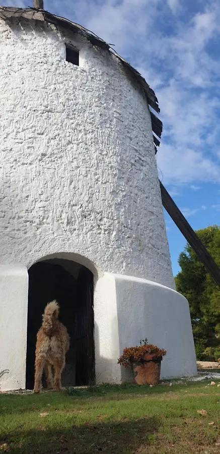 Villa El Molino de arriba Níjar Сasa de vacaciones